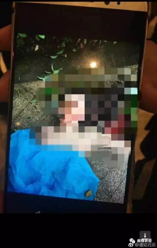 张俪和杨旭文恋爱大家还记得前年在金鸡湖坠楼的任娇吗