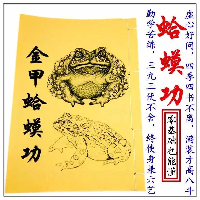 淘宝搜索武功秘籍看完感觉要飞升