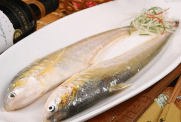 被誉为长江第一鲜的长江刀鱼为啥这么贵老板娘道出背后原因