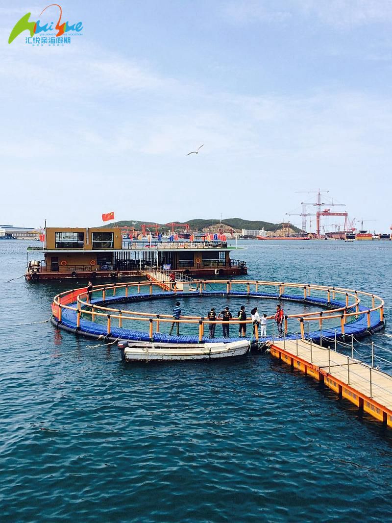 打卡汇悦海洋牧场就够了