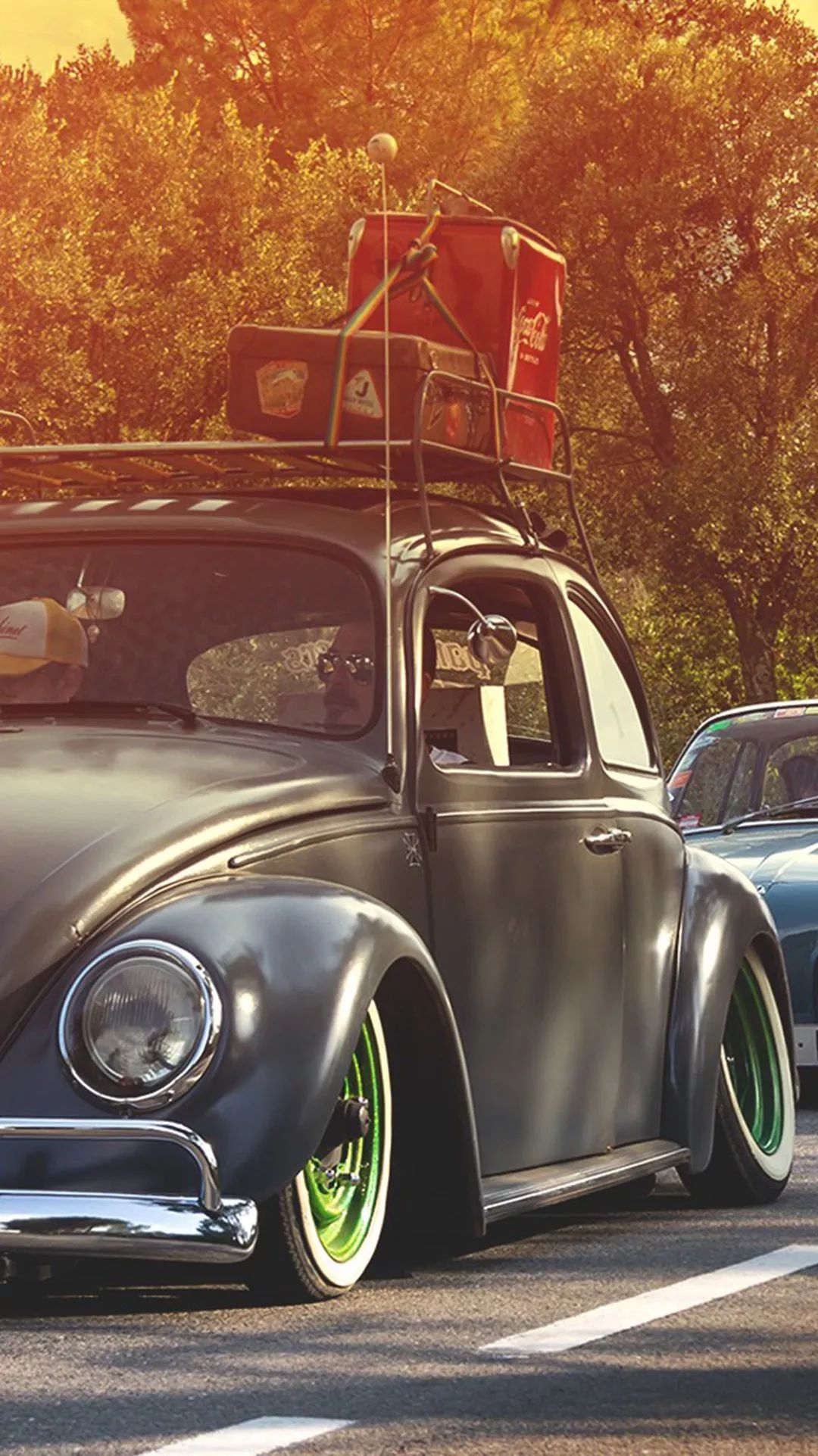 壁纸今天的主题是甲壳虫