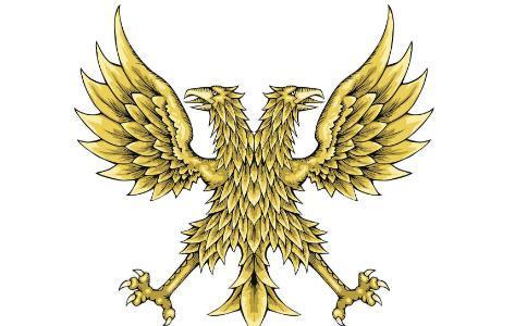 "双头鸟"的善与恶!__凤凰网