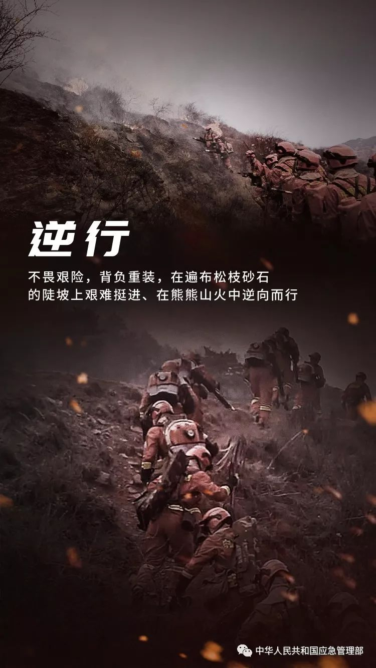 致敬在水与火中淬炼钢铁意志的森林消防员