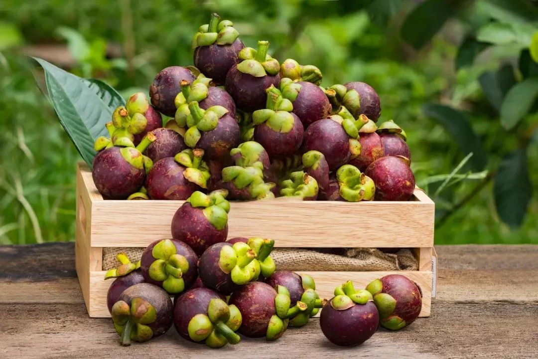 一路小跑生鲜便利|四月天,山竹甜