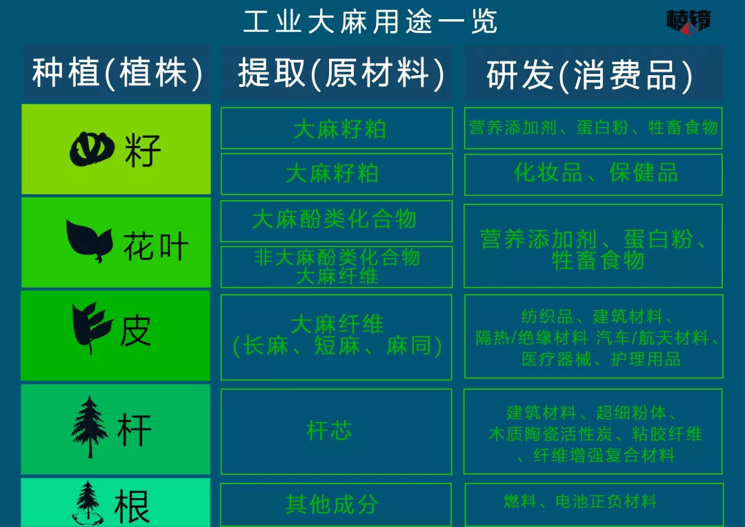 汉麻种植:绿色产业的新希望