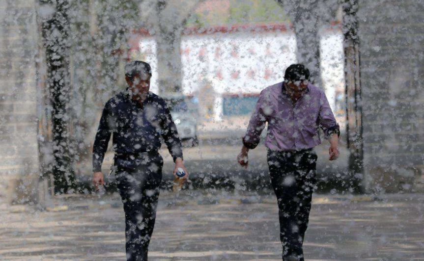 漫天恼人杨絮背后,隐藏着鲜为人知"拯救"北京的秘密!__凤凰网