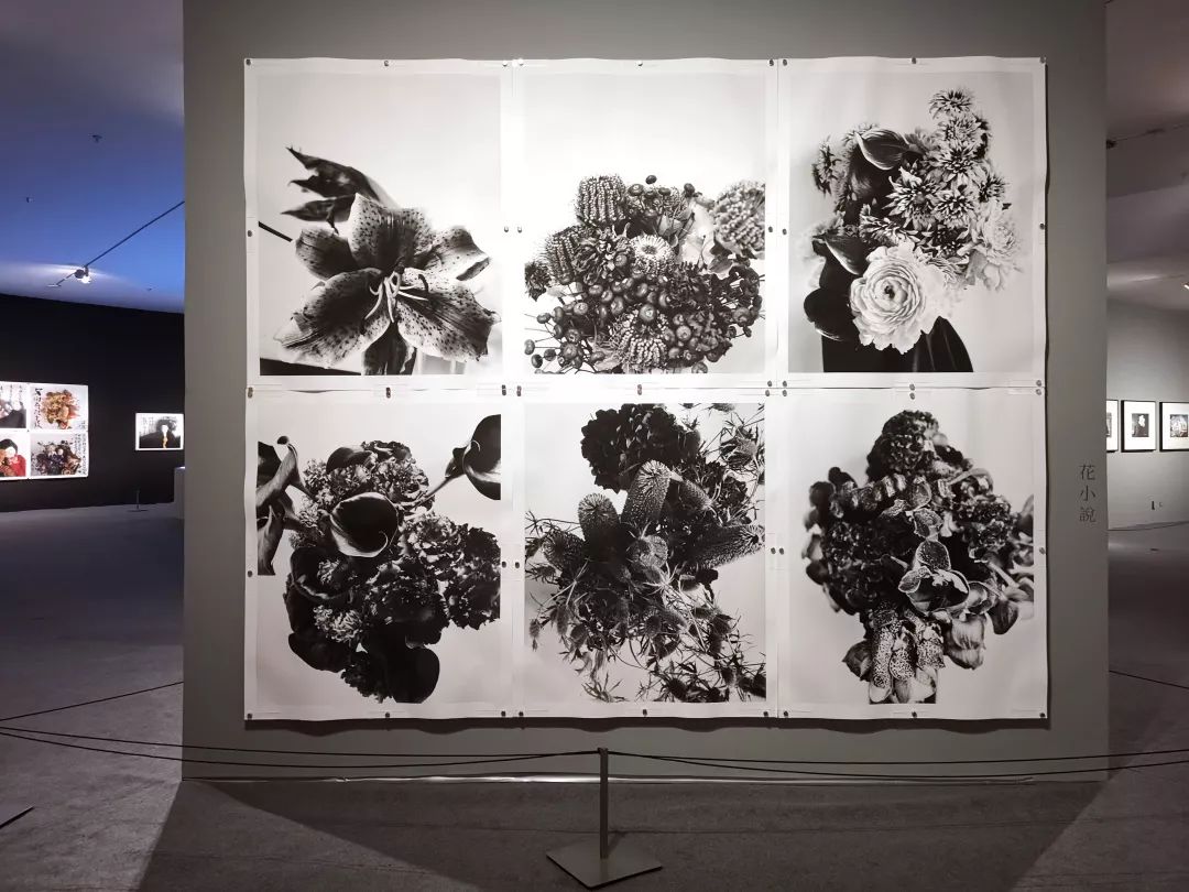 荒木经惟摄影展.花幽 | 南艺 #作品200p