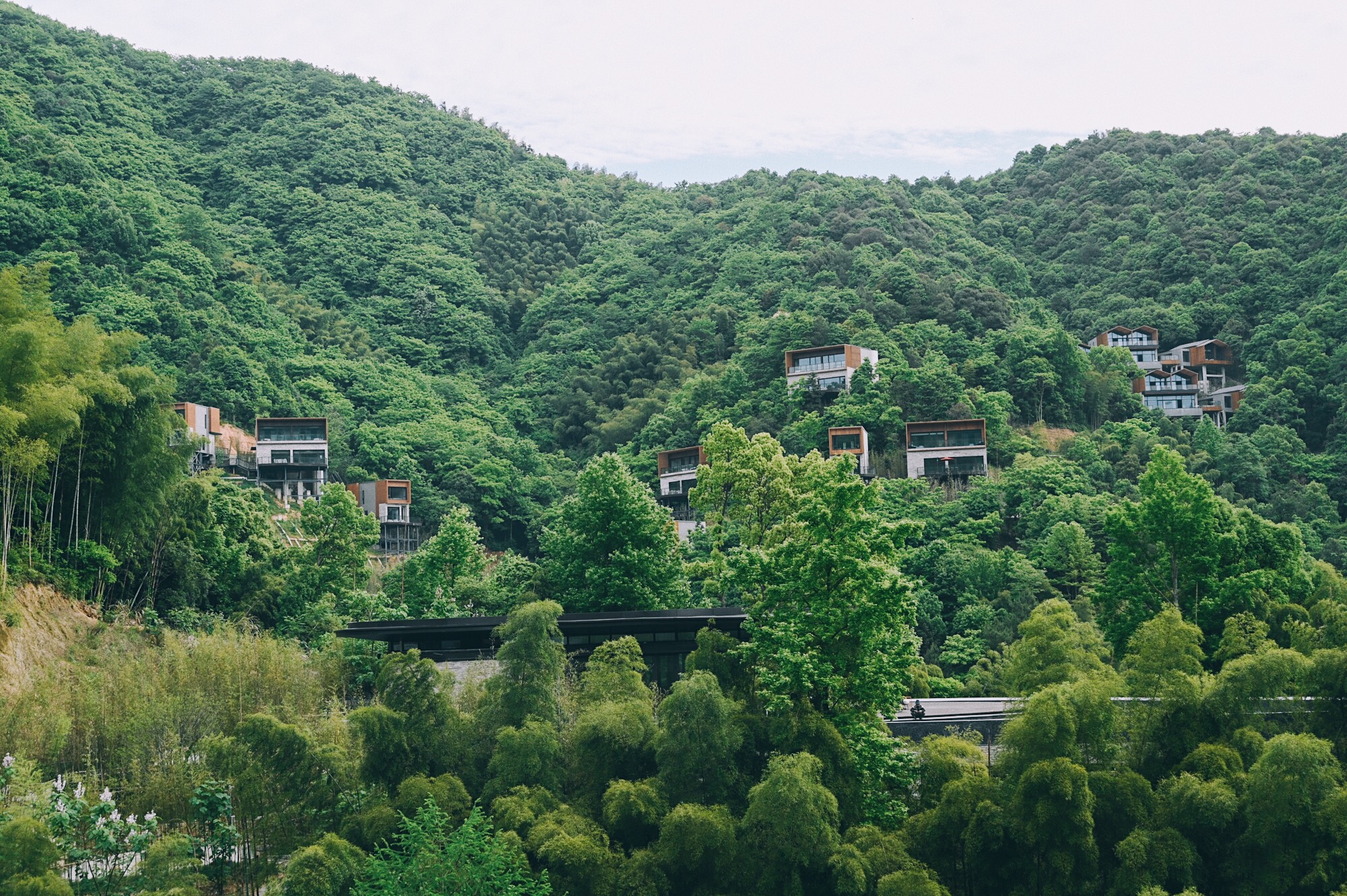 知道这里还是因为一家隐于深山水之间的酒店:宁海安岚,与安缦出自同门