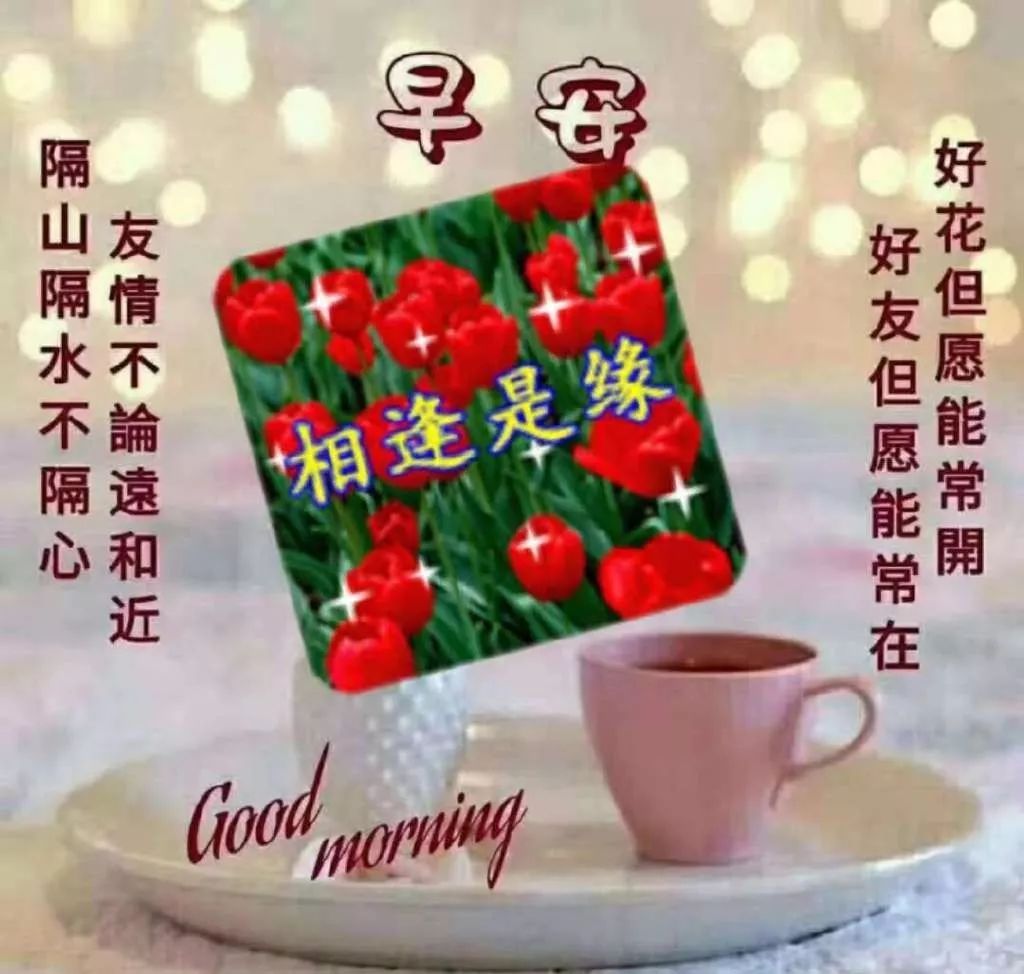 微信早上好最温馨的短信祝福语2019最特别的早上好漂亮静态图片带字