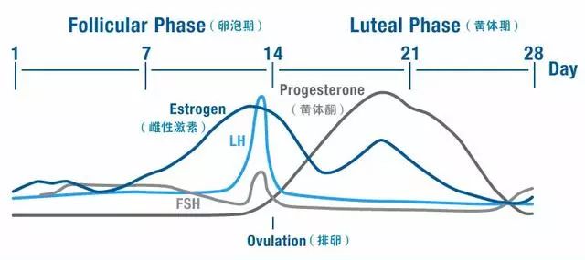 利用週期訓練