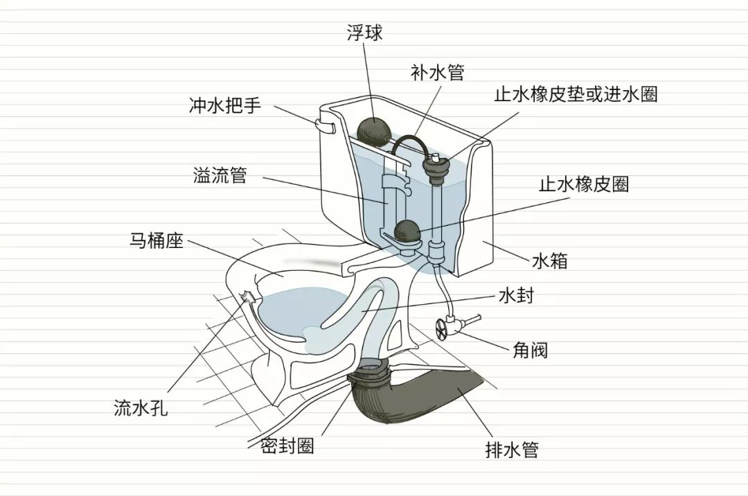 坐式马桶内部结构图图片