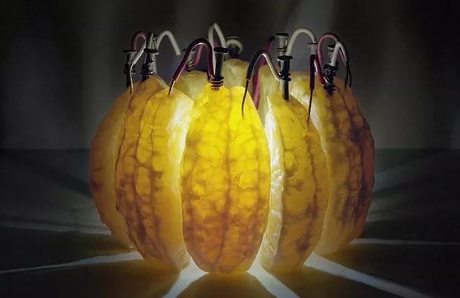 淘宝最强野生大脑两颗土豆就能发电中科院都忍不住下单