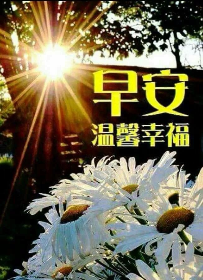 幸福暖心的清晨早上好祝福動態圖片早安問候語正能量慰問朋友句子