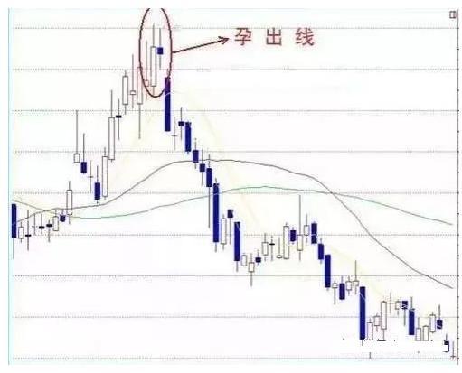 庄家建仓前都有这根k线,看懂了精髓,你将跻身于高手行列!