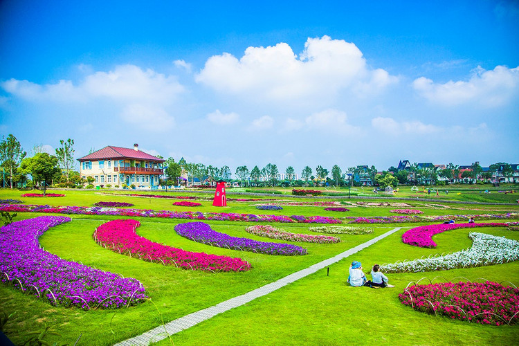 领路六月紫的浪漫,武汉花博汇两日网红玩法