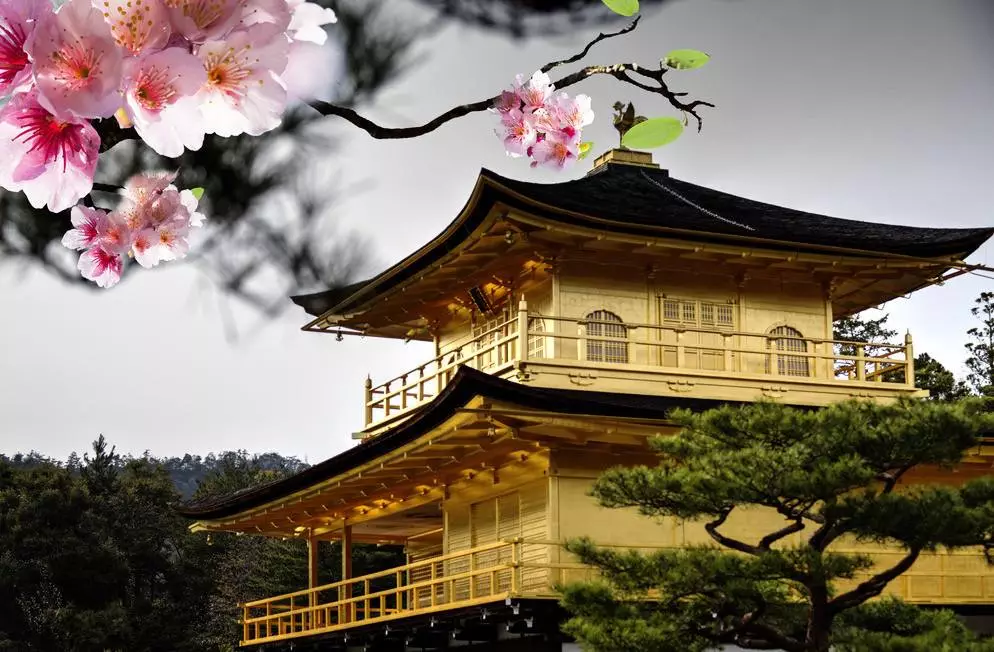 她的元辰宫是日式风格还有三套别墅好奇她做了什么