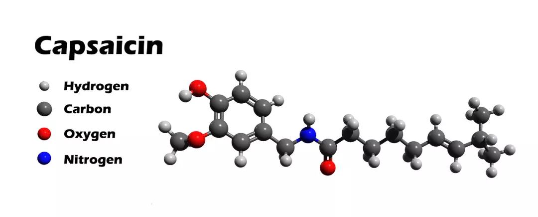 被辣成抖m你却跟我说辣椒能止痛