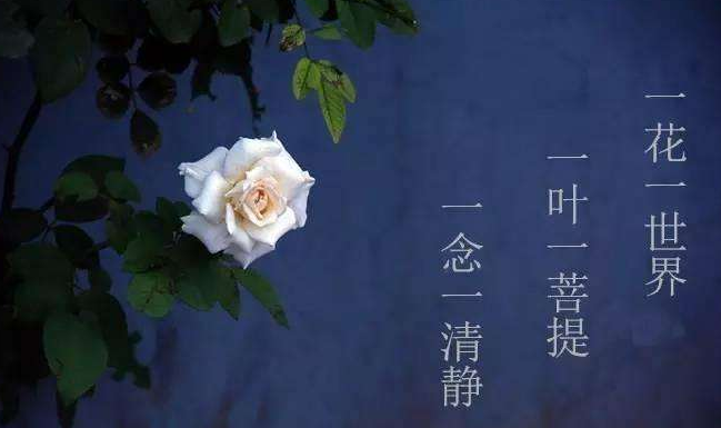 10句经典智慧佛语