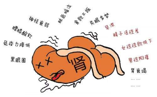 下面肾虚症状你中了几个?