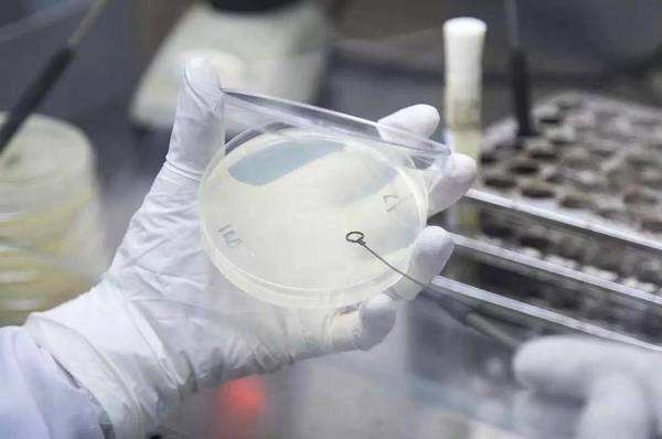 取被试验抑菌样液和对照样液(要求对照样液与被试验样液是同质材料