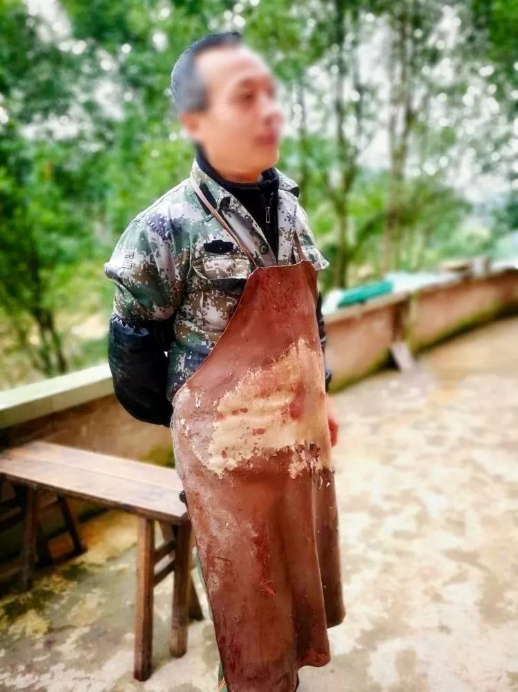 故城时光 | 猪猪这么可爱，但也那么好吃——喜杀年猪__凤凰网