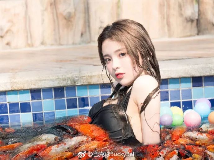 当你还在转发杨超越,我已经悄悄用上了这条转运的锦鲤【春节可发】