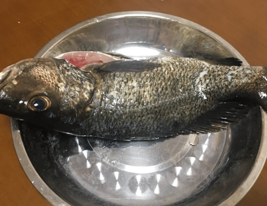 为什么吃完油鱼臀部会有好嗨的感觉