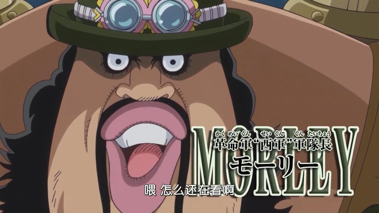 海贼王革命军莫里太过低调这才让金狮子抢去了名头