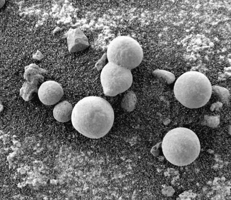 宇航员在火星上种下的种子发芽,月球上发现类似蘑菇的东西,这些报道