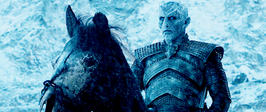 簋街龙虾在厦门没有吃过这家虾你还不算个潮人