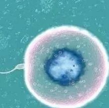 排卵后10天 受精卵着床的那一刻 身体可能发出这几个 信号 凤凰网