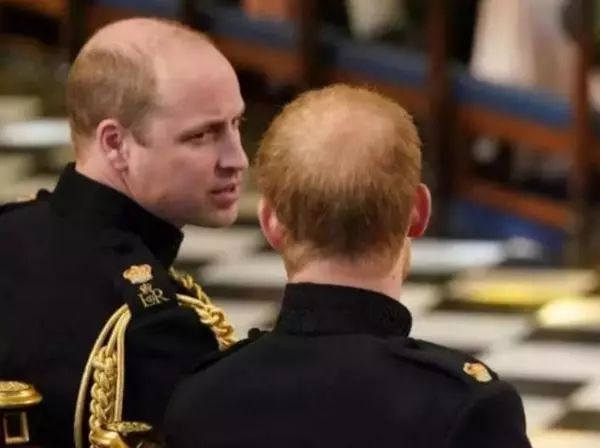 秃顶基因传男不传女,英王室男性全都逃不掉,哈里脱发量紧追哥哥