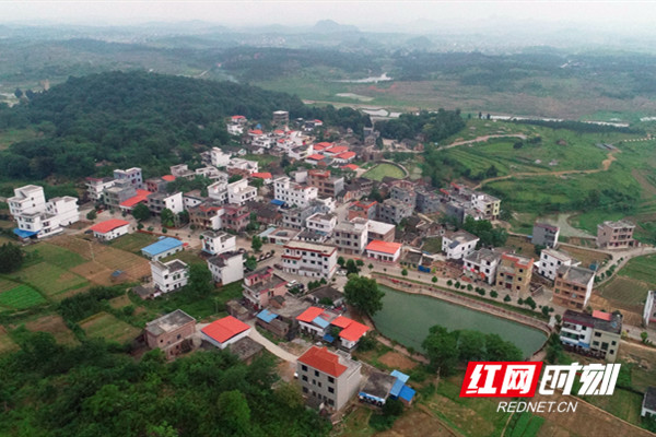 美丽宜居新田|陶岭镇周家村:推拆建治 破茧化蝶的示范村