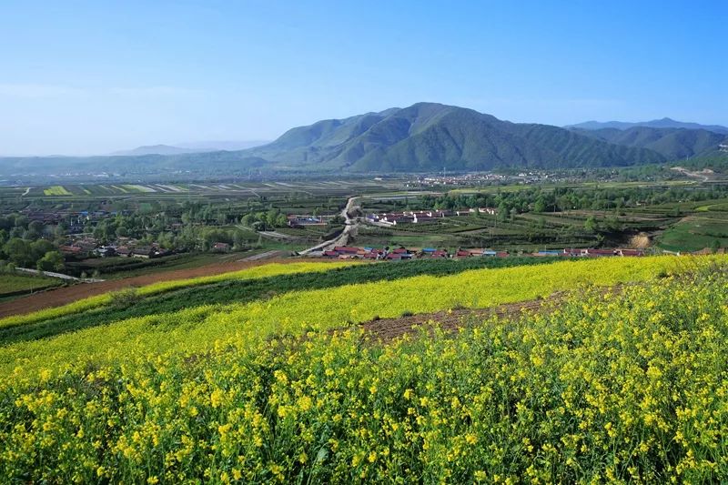 寧夏10個最值得去的美景地,你去過幾個?