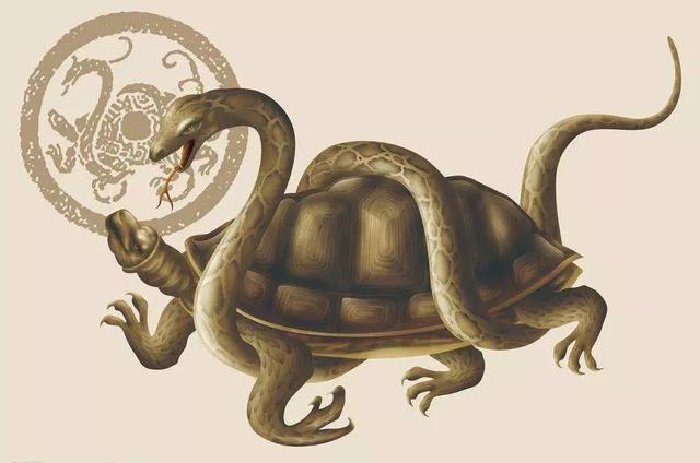 山海经星兽系列二十八星宿中的室火猪壁水貐以及腾蛇