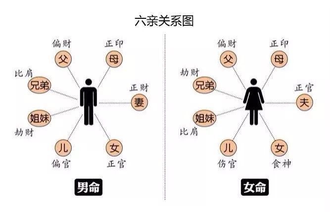 六亲不认是哪6亲株连九族又是哪9族呢