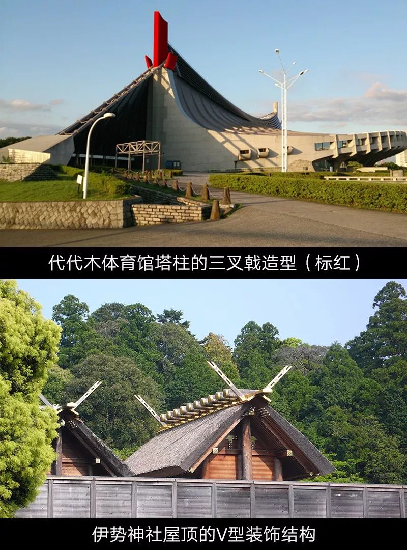 【再访丹下健三】04 代代木国立综合体育馆__凤凰网