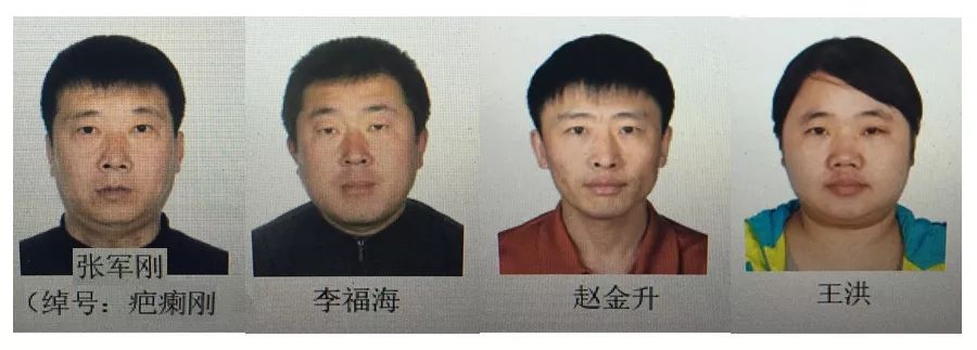 小伟,小秋,四毛,疤瘌刚……这12人长期在道里一带寻衅滋事,强迫交易