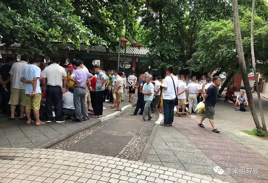 迷人而引人入胜的美剧世界