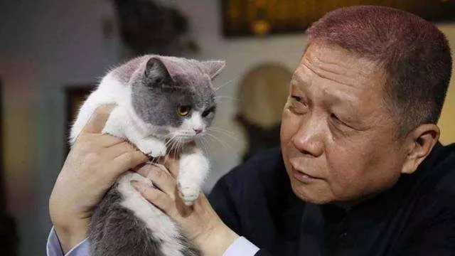 马未都一个爱养猫的收藏家
