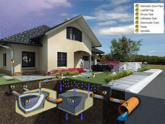 "海绵雨水"雨水利用技术__凤凰网