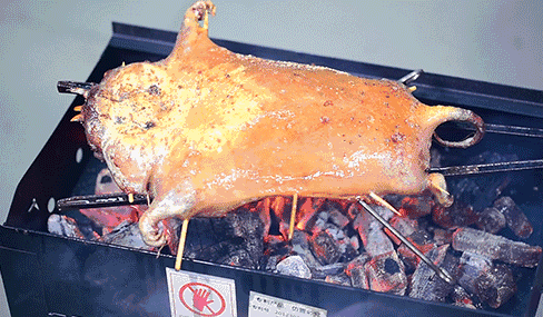 贵州人:吃竹鼠的100个理由 | 贵州