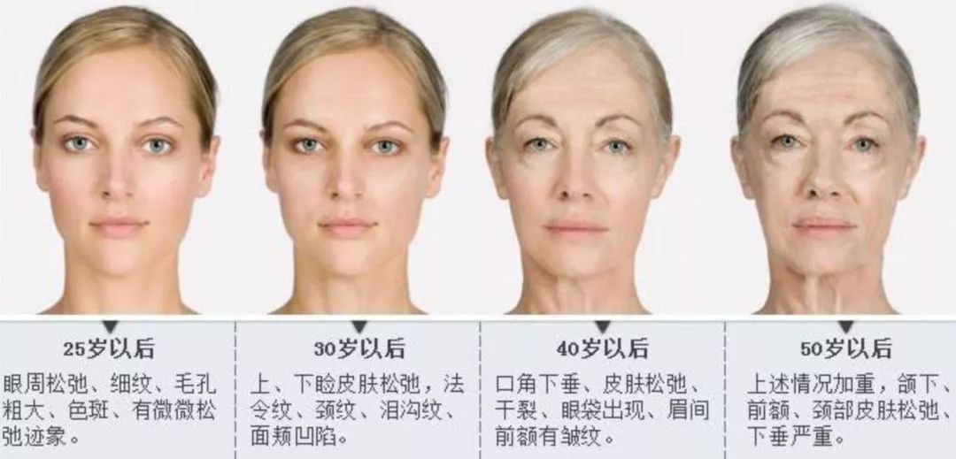 【护肤第17课】衰老的本质及预防衰老