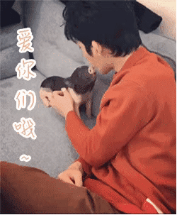 文章配图