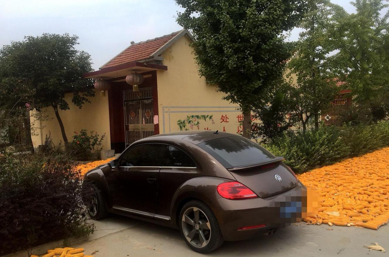 开豪车回农村是什么体验?网友:入手豪车后,亲戚邻居串门的多了_凤凰网