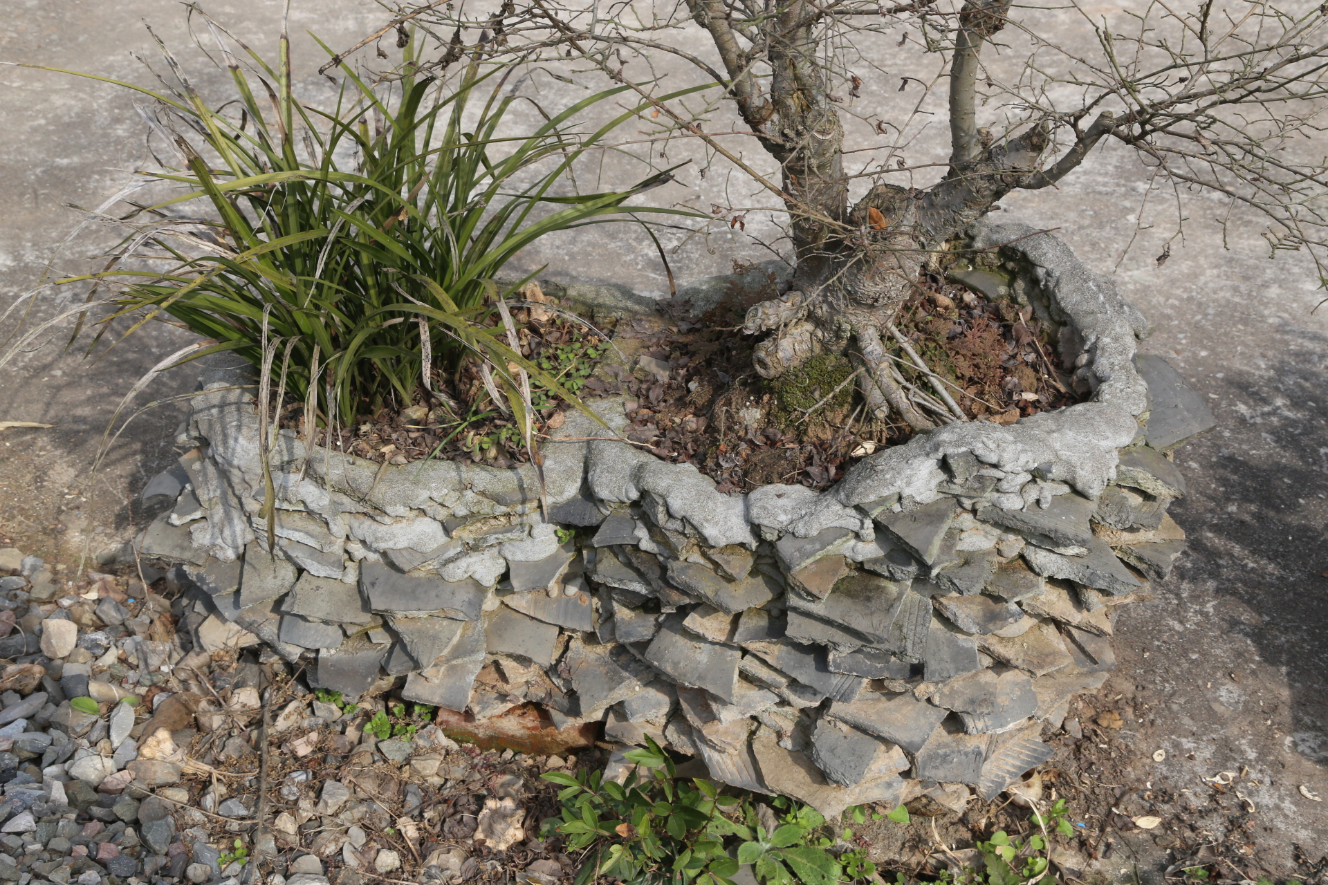 乡村见闻:农民用旧屋诉下的碎瓦片制盆景,变废为宝,建美丽家园