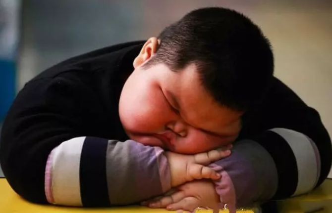 被称为「中国最胖小孩」的小豪,3 岁体重已达 120 斤