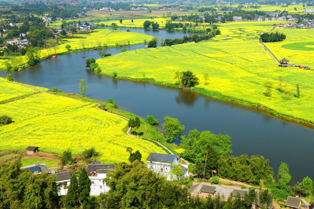 中国最美十大油菜花景区你想去哪个呢