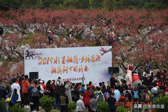 "水墨桃花乡约翁源"2019广东翁源桃花节"妖"您来"撩"