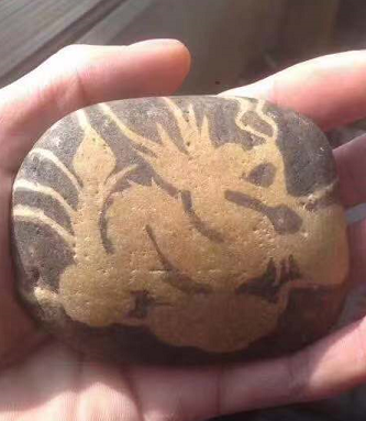 天然龙纹奇石赏析__凤凰网